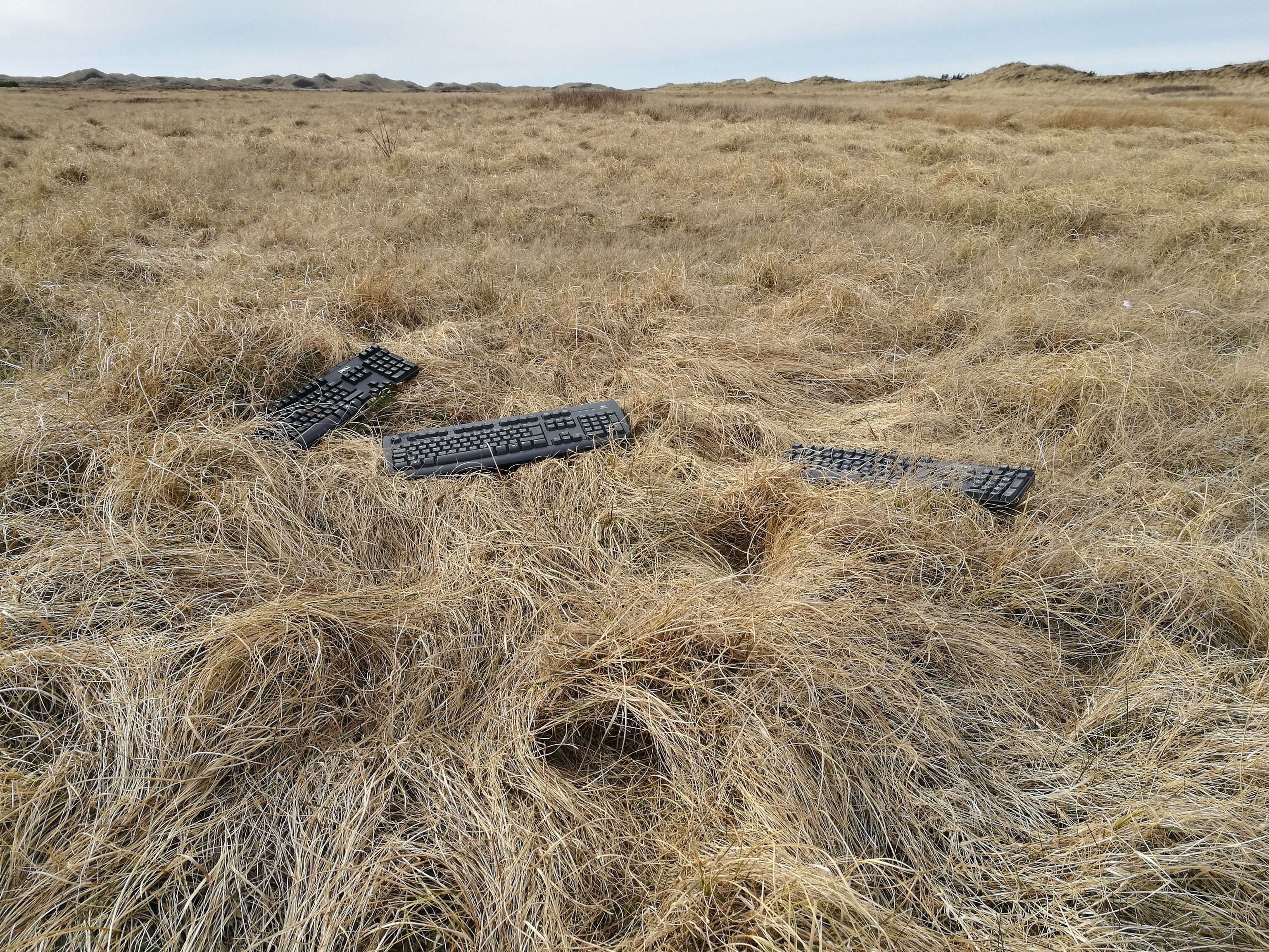 Drei Tastaturen, die in trockenem Gras liegen. Im Hintergrund sind Dünen zu sehen.